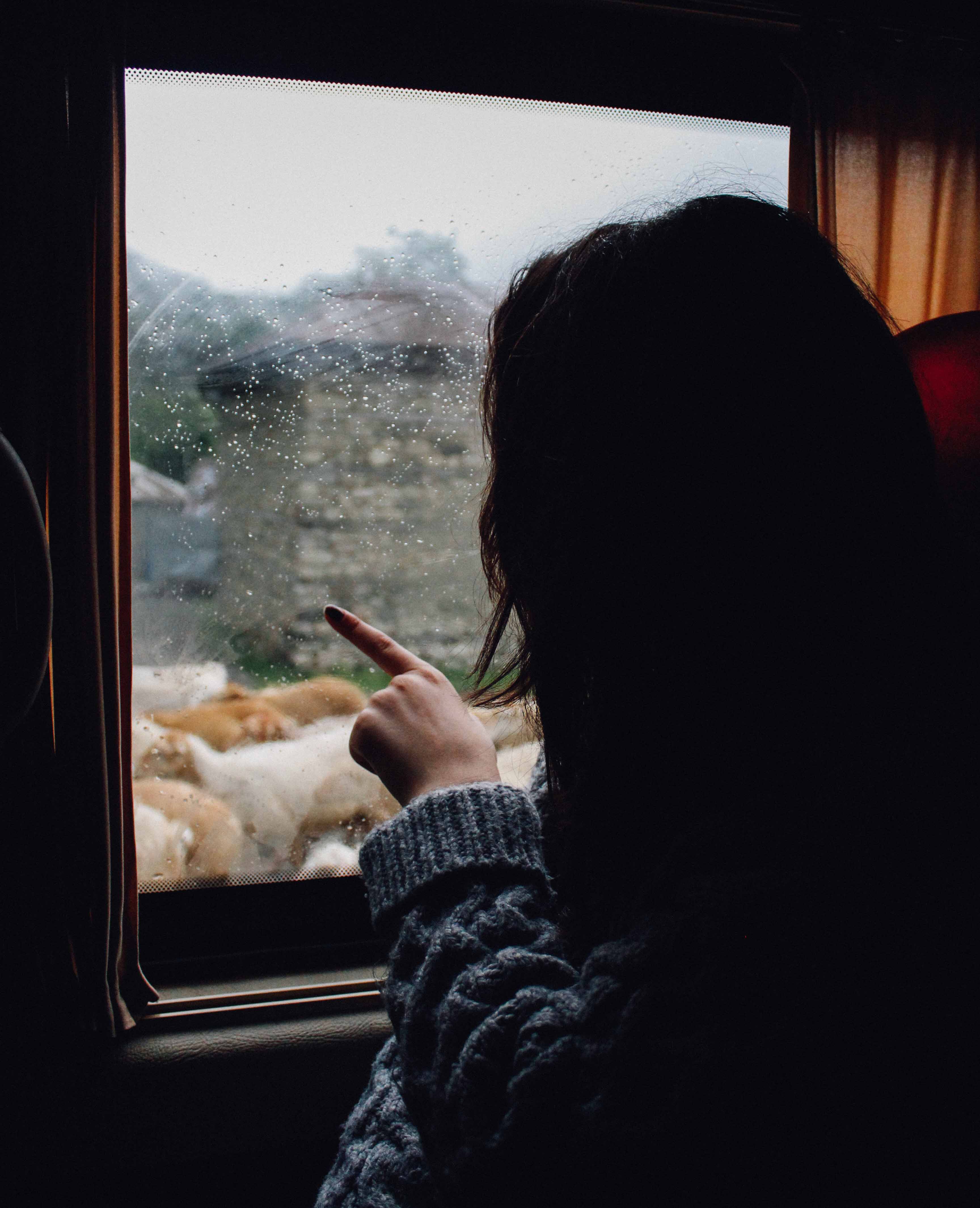 photo Teymur Gahramanov